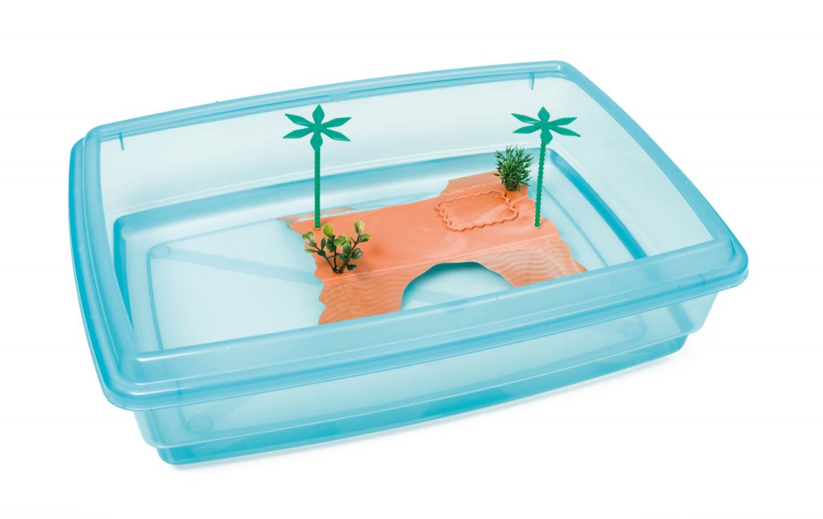 Jumbo turtle tray