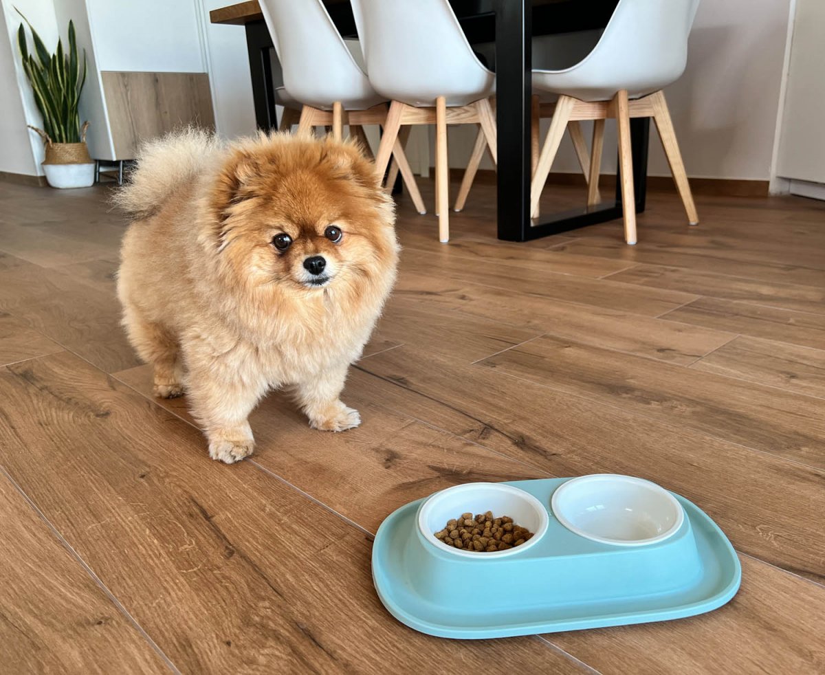 Soft Touch PP double