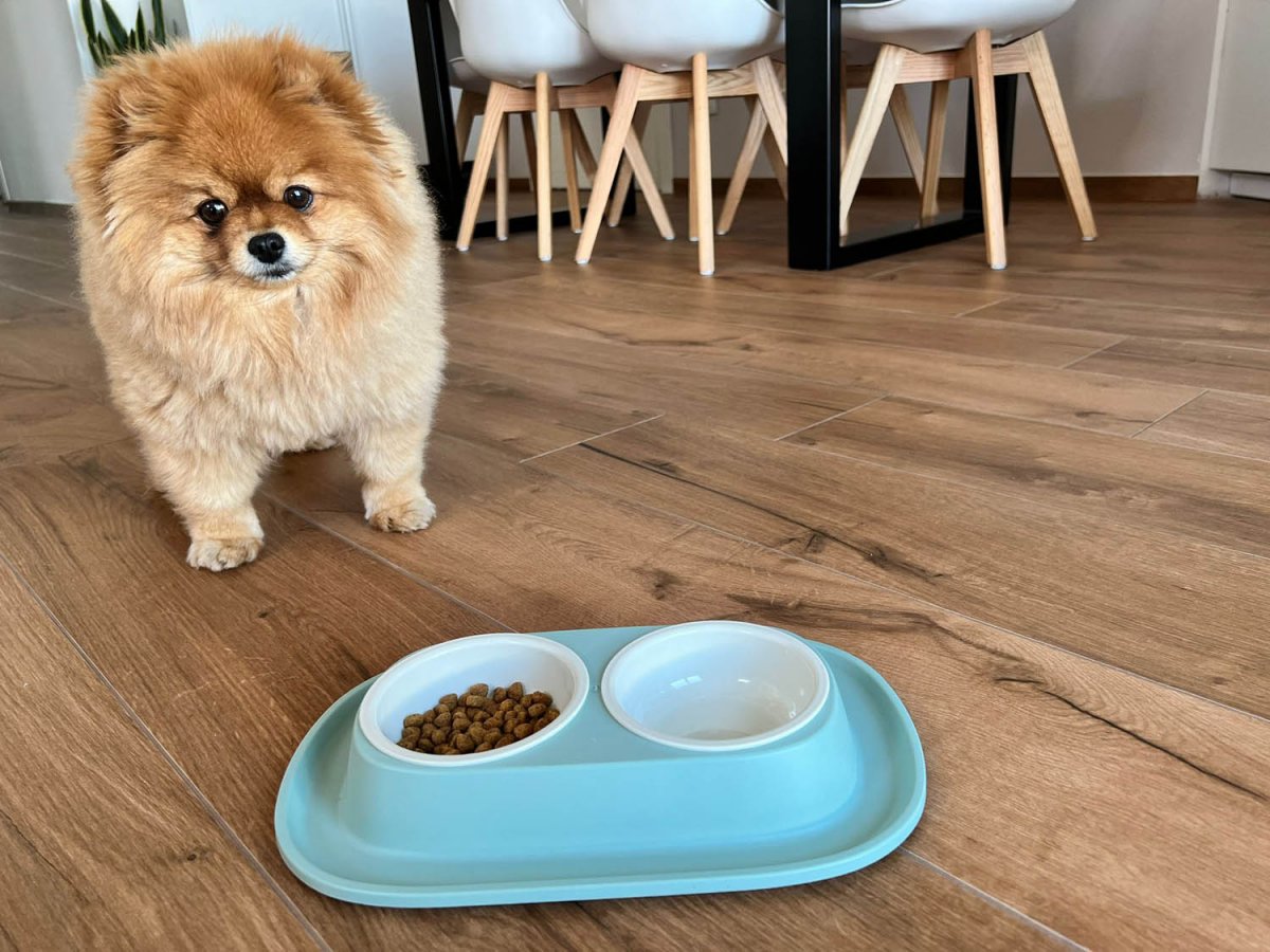 Soft Touch PP double