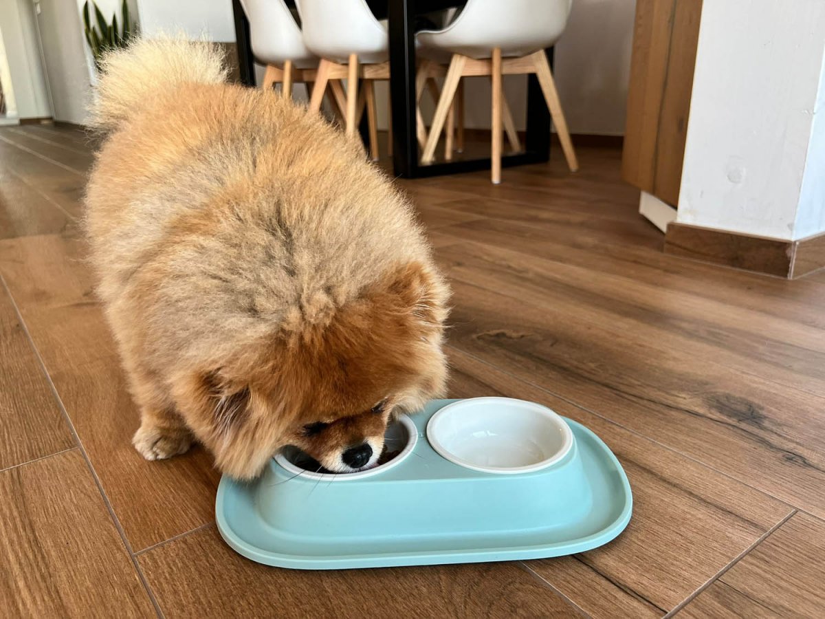 Soft Touch PP double