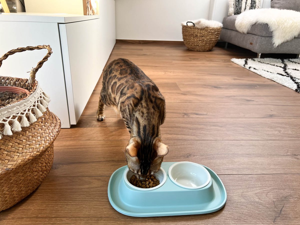 Soft Touch PP double