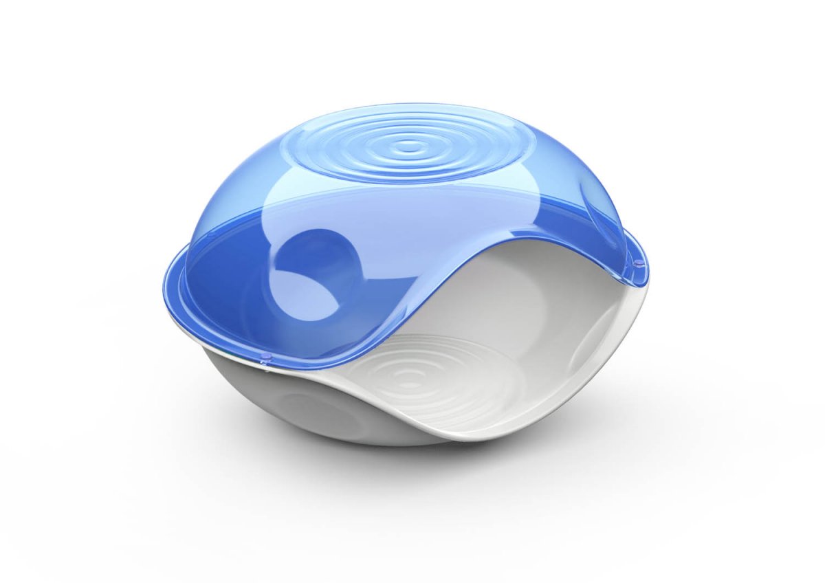 Duck Plain Transparent