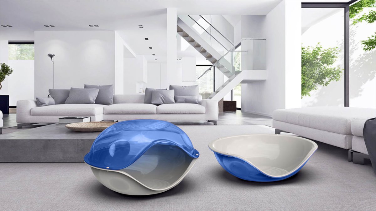 Duck Plain Transparent