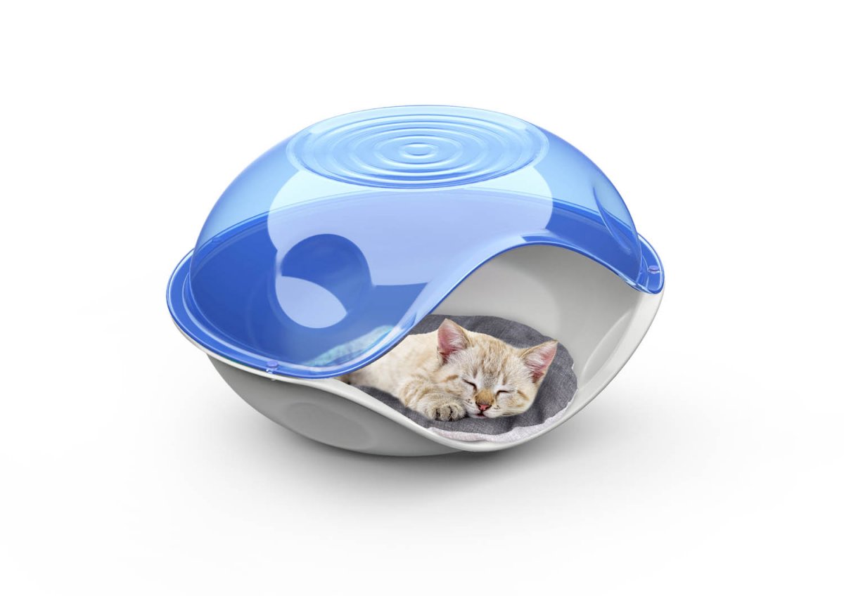 Duck PillowTransparent