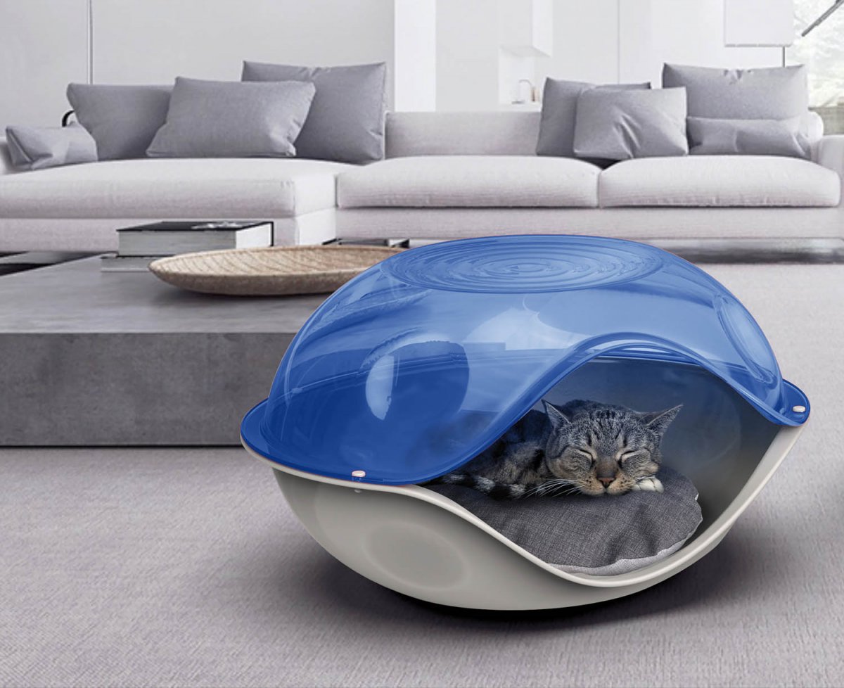 Duck PillowTransparent