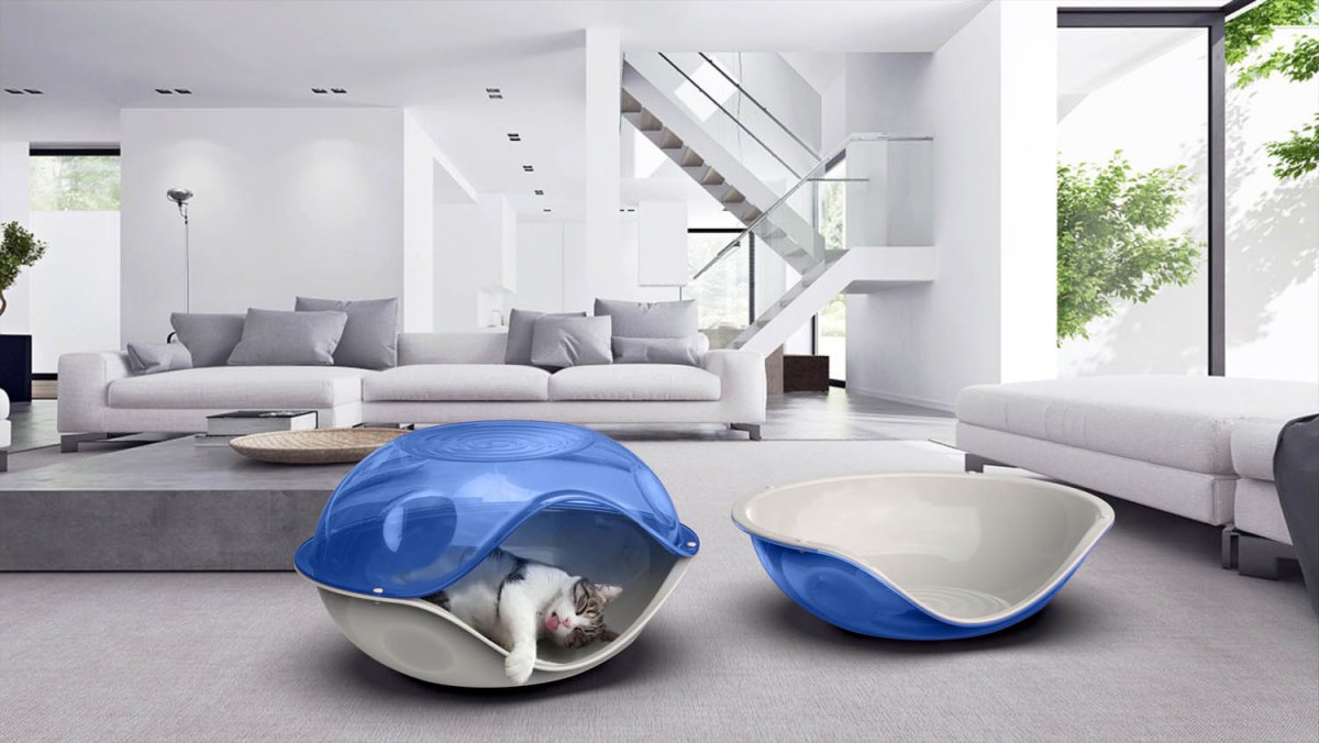 Duck PillowTransparent