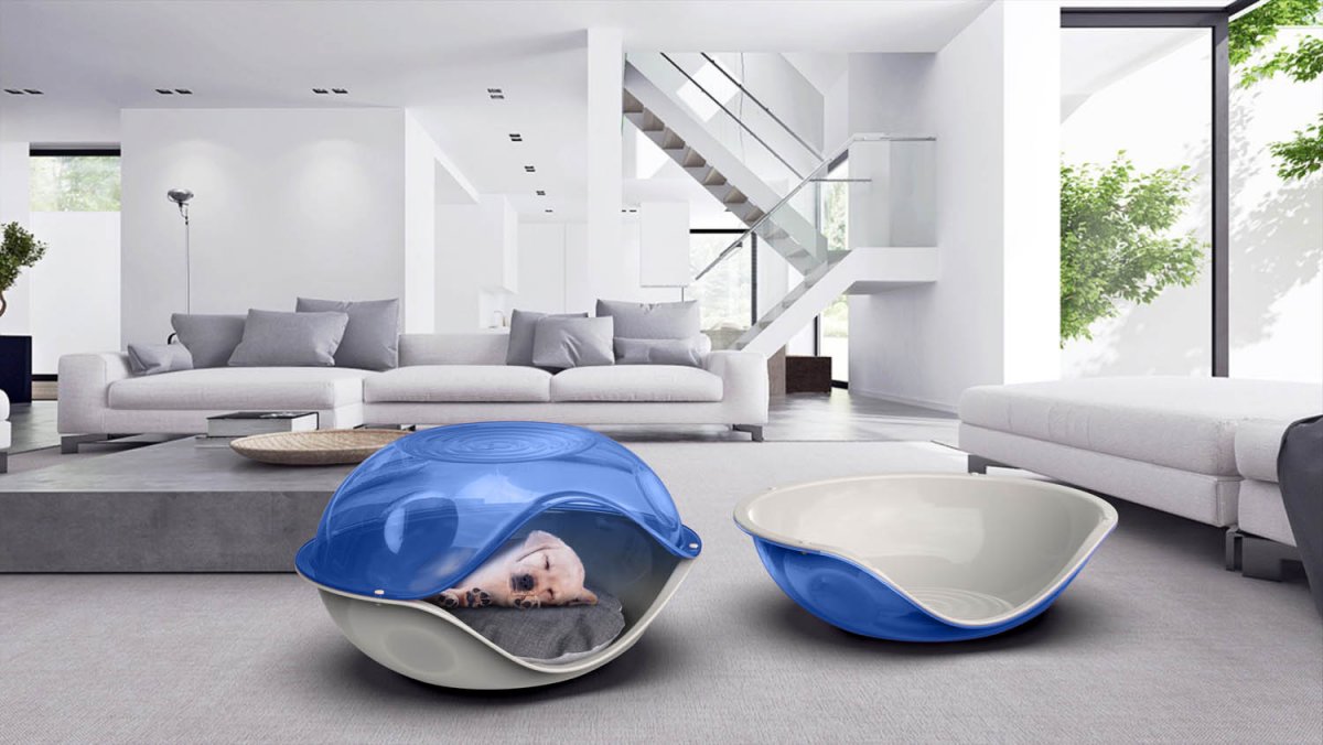 Duck PillowTransparent